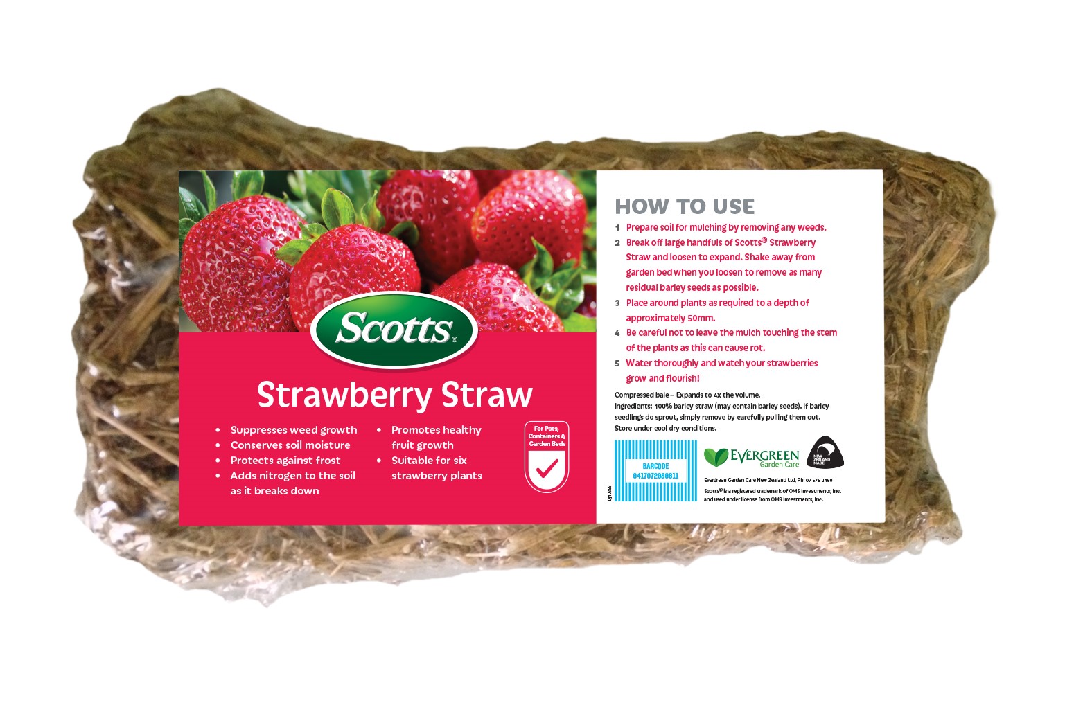 Strawberry Love The Garden